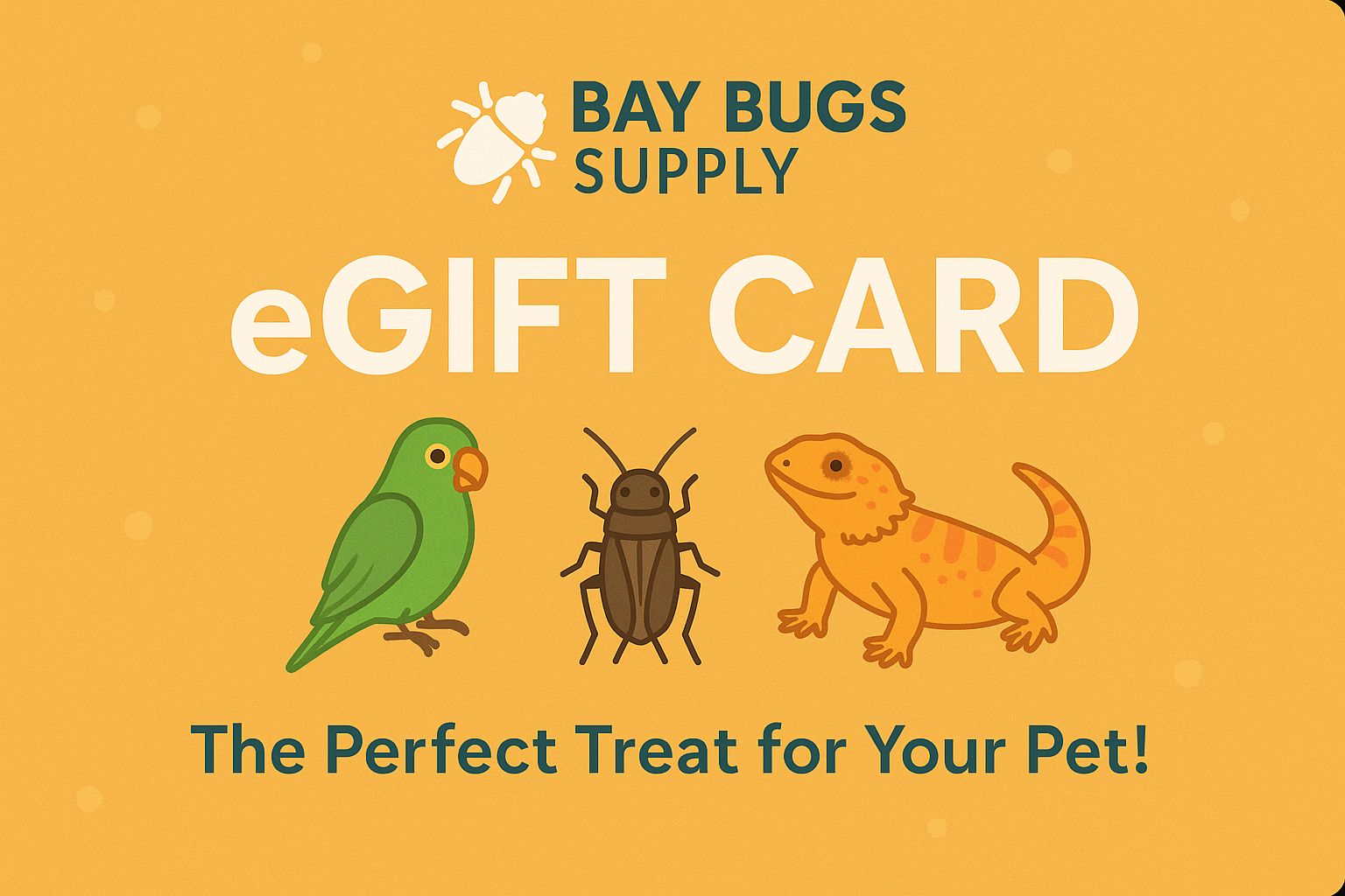 Bay Bugs Supply eGift Card – The Perfect Treat for Your Pet!
