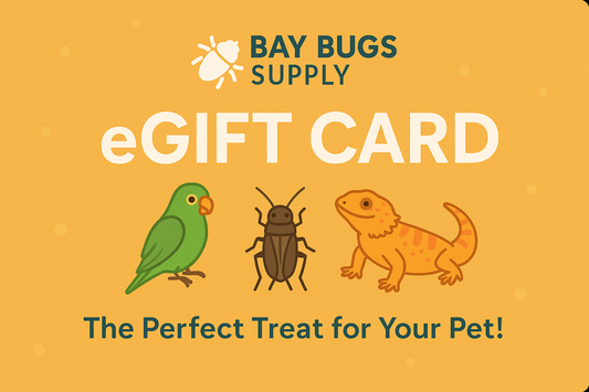 Bay Bugs Supply eGift Card – The Perfect Treat for Your Pet!