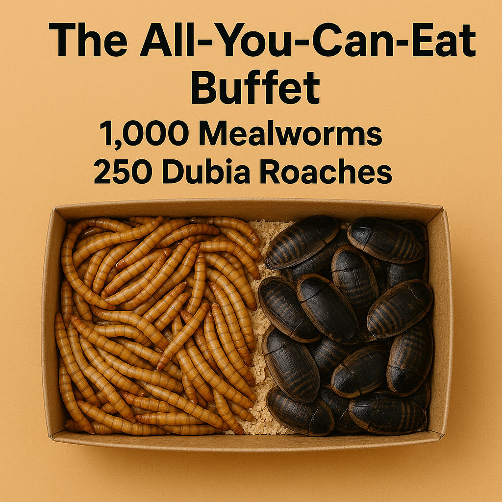 🪳🐛 The All-You-Can-Eat Buffet – 1,000 Mealworms + 250 Dubia Roaches